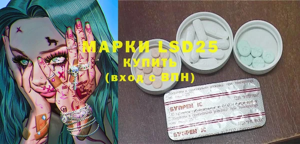 ПСИЛОЦИБИНОВЫЕ ГРИБЫ Абаза