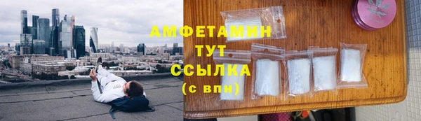 ПСИЛОЦИБИНОВЫЕ ГРИБЫ Абаза