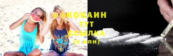 ПСИЛОЦИБИНОВЫЕ ГРИБЫ Абаза
