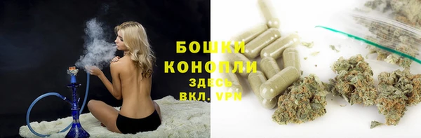 ПСИЛОЦИБИНОВЫЕ ГРИБЫ Абаза