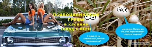 ПСИЛОЦИБИНОВЫЕ ГРИБЫ Абаза