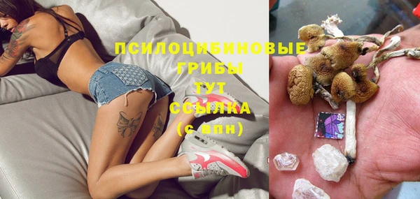 ПСИЛОЦИБИНОВЫЕ ГРИБЫ Абаза
