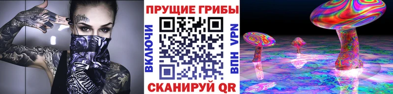Псилоцибиновые грибы ЛСД Норильск